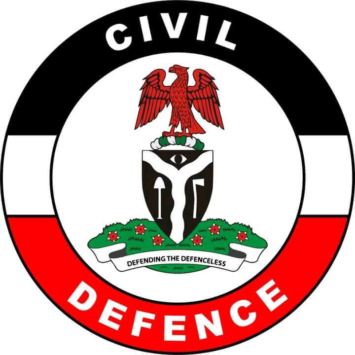 Download Civil Defence Guarantor Form PDF NSCDC Referee Form