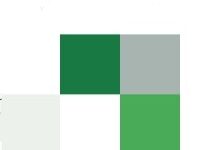 Transform Together Scholarships for International