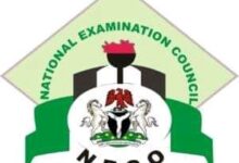 FB IMG 16304454163517375 NCEE Result Checker