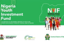 Nigerian Youth Investment Fund Loan Application