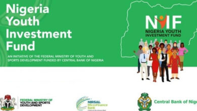Nigerian Youth Investment Fund Loan Application