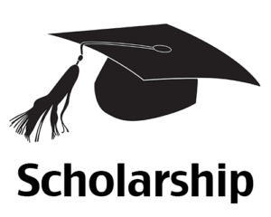 Adamawa state scholarship application