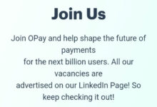 Opay Recruitment Application Form