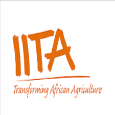 IITA Recruitment