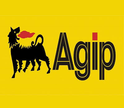 Agip Scholarship Past Questions and Answers PDF Download It Now