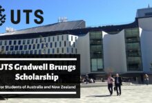 Hasselt university scholarship for developing countries