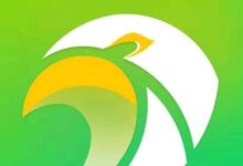 scooper news content creator how to become a scooper content creator and earn over 200 a week Kano State SUBEB Recruitment Past Questions